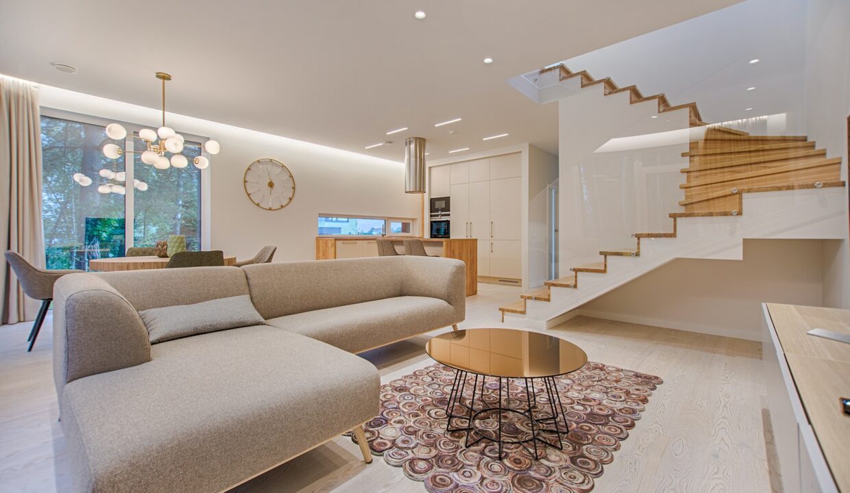 pexels-vecislavas-popa-1571460