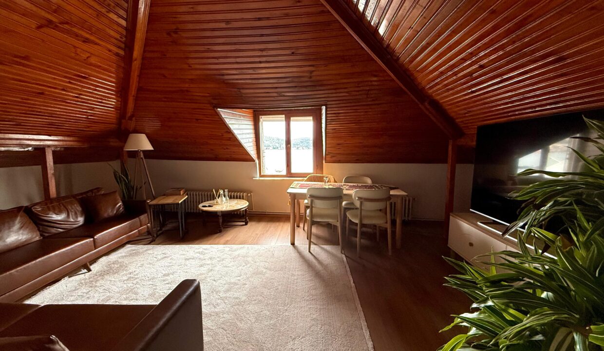 560a8638-e5c1-4119-b002-173b0708747b